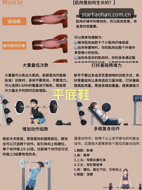 浩瀚体育下载使用技巧：老用户分享的5个必备实用知识